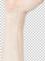 Male hand clenched fist