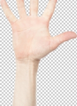 Hand shows the number five