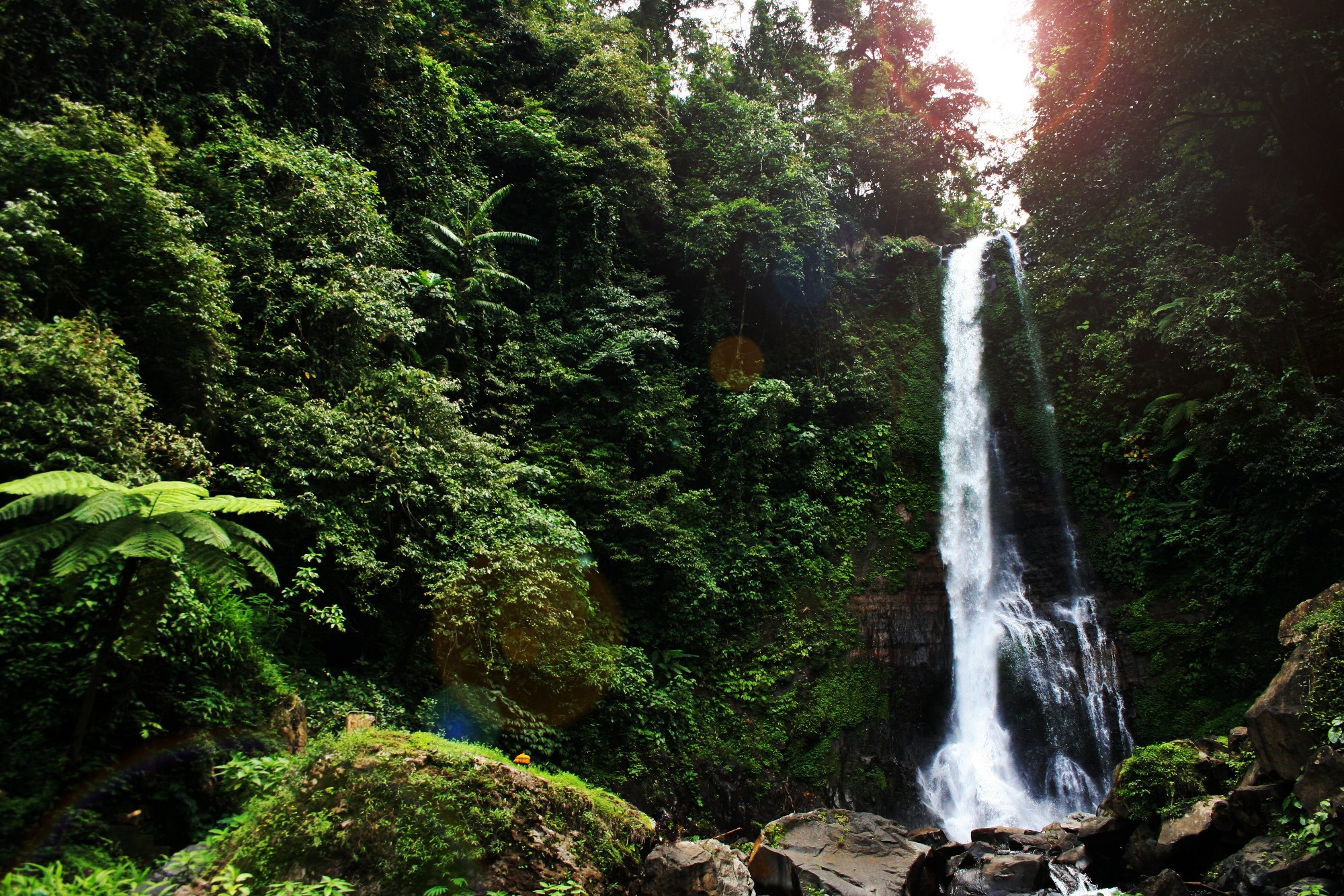 Gitgit_waterfall_bali_indonesia_2012_12